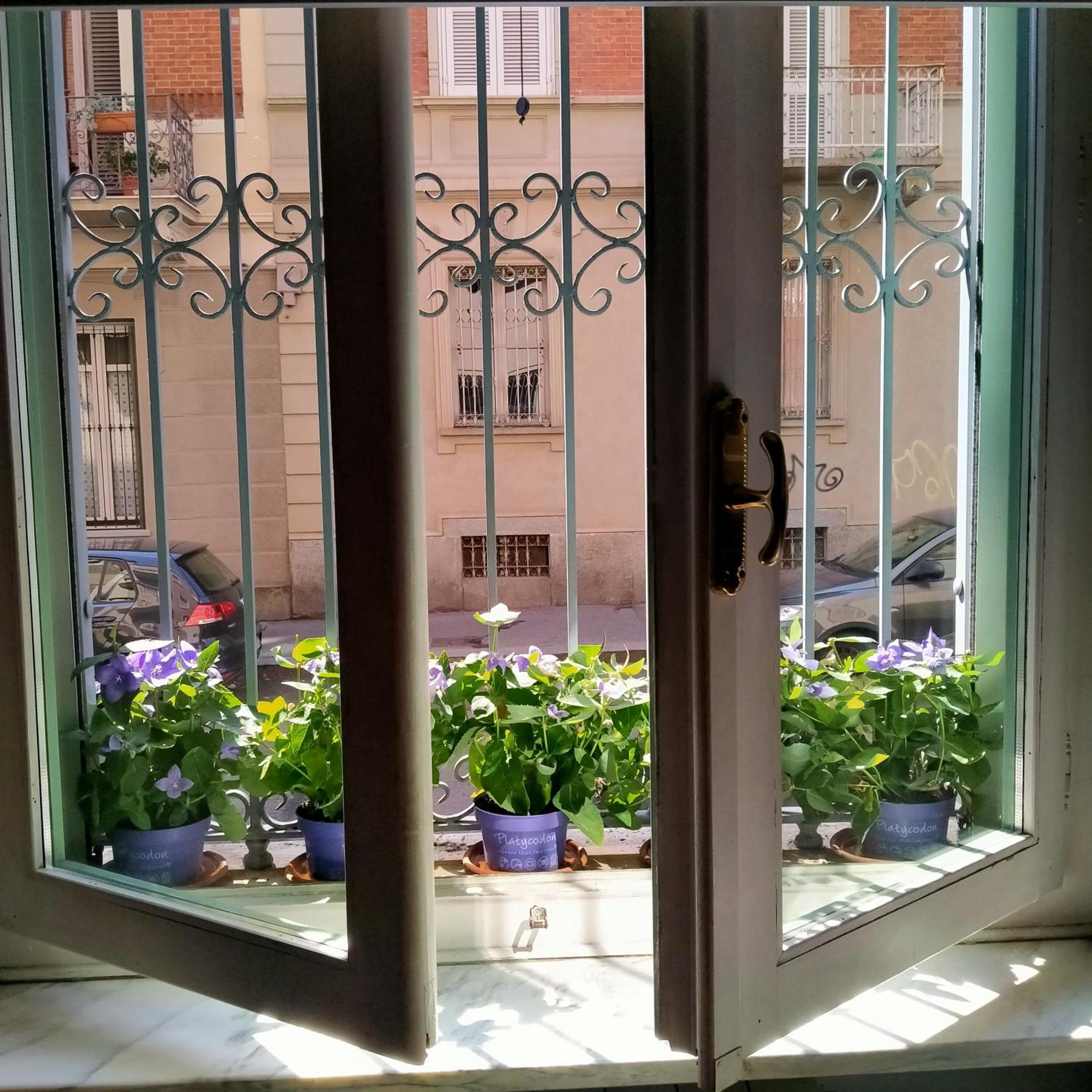 La Graziosa Torino, Porta Susa Экстерьер фото